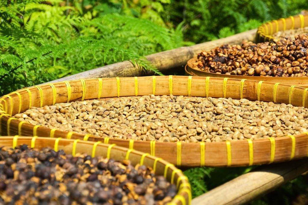 Sustainable Coffee and How Community Bean Coffee lives it - Community Bean